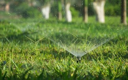 sprinkler-service